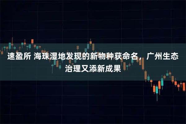 速盈所 海珠湿地发现的新物种获命名，广州生态治理又添新成果